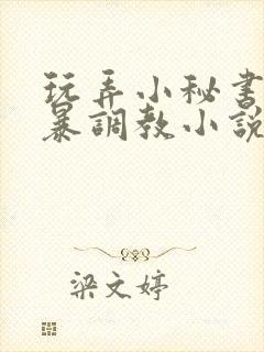 玩弄小秘书的粗暴调教小说