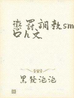 惩罚调教sm重口h文封面