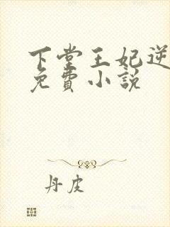 下堂王妃逆袭记免费小说