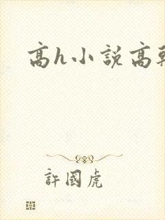 高h小说高干文