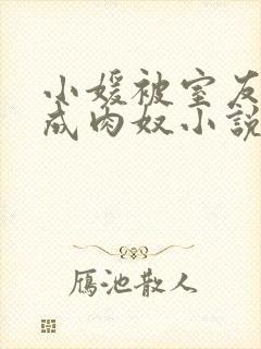 小媛被室友调教成肉奴小说免费阅读