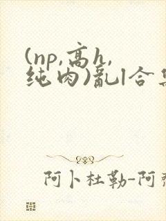 (np,高h,纯肉)乱l合集