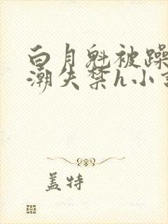 白月魁被躁到高潮失禁h小说