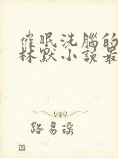 催眠洗脑的姐姐林默小说最新章节更封面