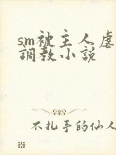 sm被主人虐玩调教小说封面