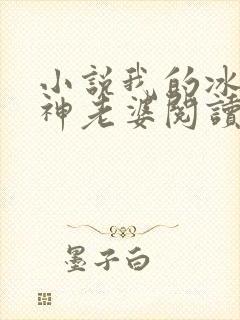 小说我的冰山女神老婆阅读封面