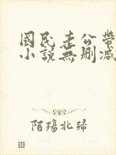 国民老公带回家小说无删减