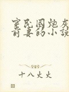 穿民国炮灰乡下前妻的小说