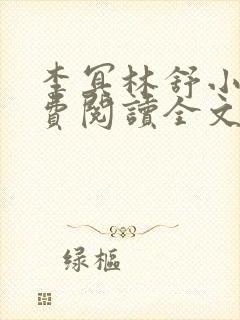 李冥林舒小说免费阅读全文最新章节