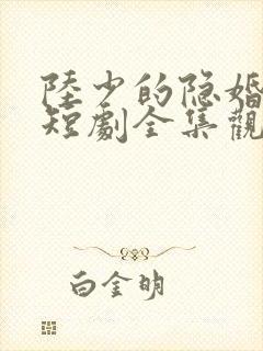 陆少的隐婚罪妻短剧全集观看封面