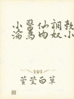 小医仙调教喷水沦为肉奴小说封面