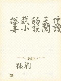 总裁的天价小逃妻小说阅读