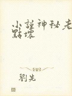 小说神秘老公有点坏