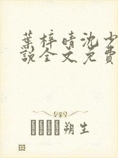 叶梓晴沈少廷小说全文免费阅读