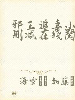 邪王追妻小说无删减在线阅读