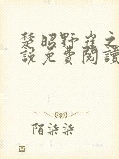 楚昭野崔之棠小说免费阅读最新章节