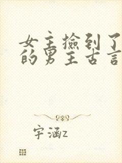 女主捡到了受伤的男主古言