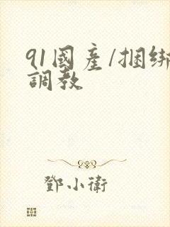 91国产/捆绑调教封面