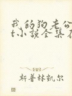 我的狗老公txt小说全集在线阅读封面