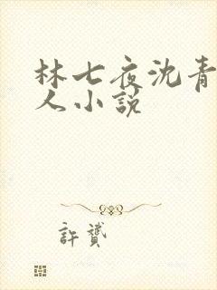 林七夜沈青竹同人小说封面