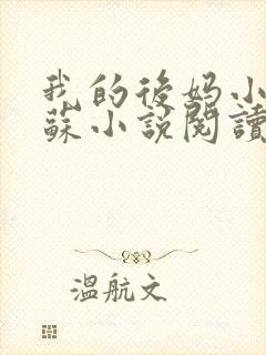 我的后妈小姨苏苏小说阅读