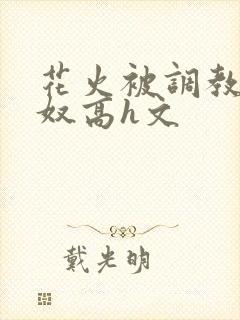 花火被调教成肉奴高h文