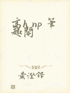 高h np 笔趣阁