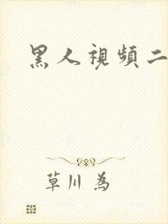 黑人视频二区