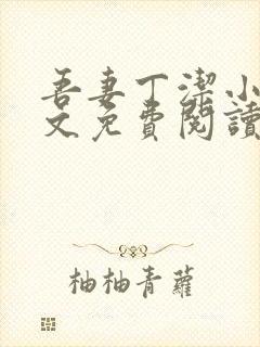 吾妻丁洁小说全文免费阅读最新章节封面