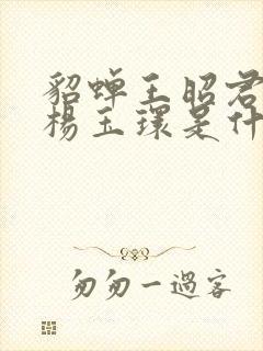 貂蝉王昭君西施杨玉环是什么四大美女