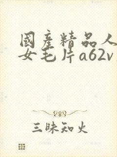 国产精品人妻熟女毛片a62v久久封面