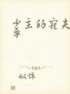 少主的宠夫(女尊