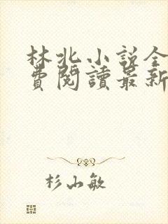 林北小说全文免费阅读最新章节