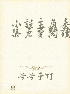 小说主角秦初全集免费阅读封面