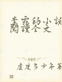 李霖的小说免费阅读全文