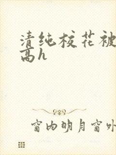 清纯校花被调教高h封面