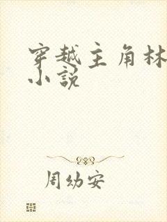 穿越主角林川的小说封面