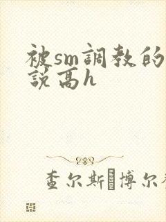 被sm调教的小说高h