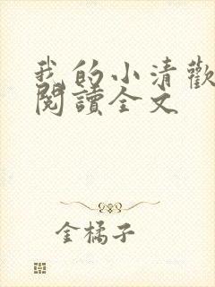 我的小清欢阅读阅读全文