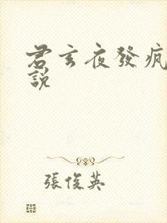 君玄夜发疯的小说