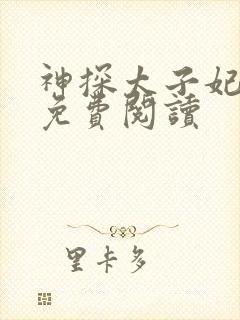 神探太子妃小说免费阅读