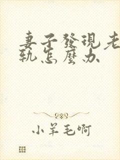 妻子发现老公出轨怎么办