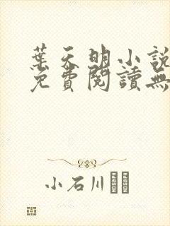 叶天明小说全文免费阅读无弹窗最新章节