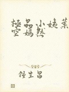 极品小姨叶凡司空嫣然封面