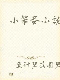 小笨蛋小说