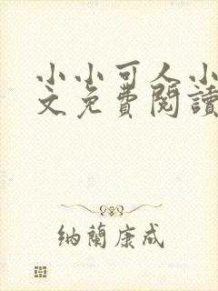 小小可人小说全文免费阅读最新章节封面