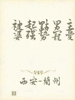 被起点男主的老婆强势宠爱的小说