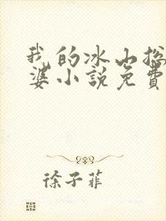 我的冰山总裁老婆小说免费阅读封面