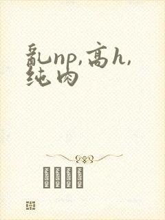 乱np,高h,纯肉封面