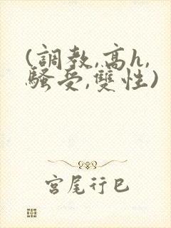 (调教,高h,骚受,双性)